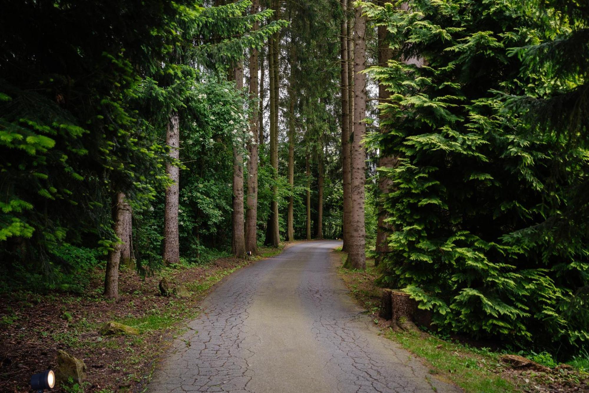 Hotel Steineweiher St. Vith Zewnętrze zdjęcie