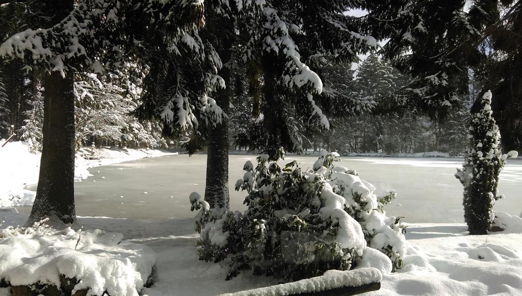 Hotel Steineweiher St. Vith Pokój zdjęcie