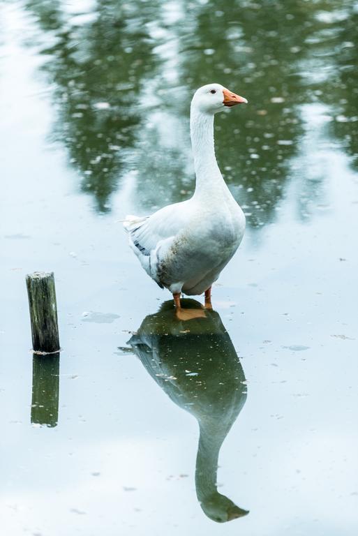 Hotel Steineweiher St. Vith Zewnętrze zdjęcie